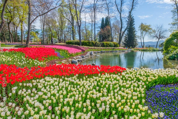 Obraz Spring Elegance at Emirgan Grove: Ottoman Pavilion Amid Blooming Tulips