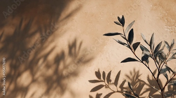 Fototapeta A Study in Shadows and Light: Olive Branch Against a Textured Wall
