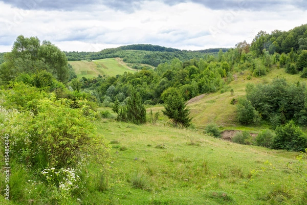 Obraz mountainous countryside of ukraine in summer. cloudy afternoon. landscape with green pasture and forest on the hill. rural scenery in the outskirts of svalyava district
