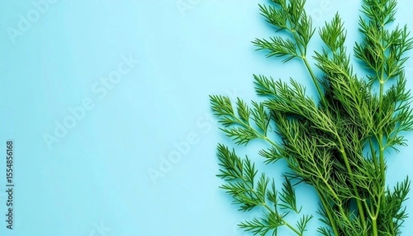 Obraz Fresh Dill Sprigs on Light Blue Background A vibrant image of green dill