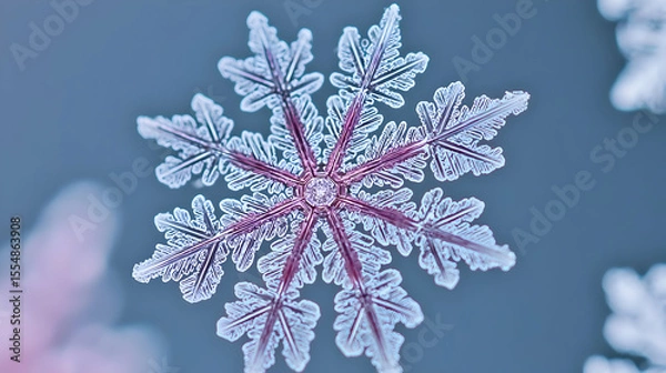 Fototapeta Detailed close-up of a stunning, intricate snowflake with delicate, symmetrical ice crystal patterns.  Pale pinkish-red hues highlight the center and intricate branches