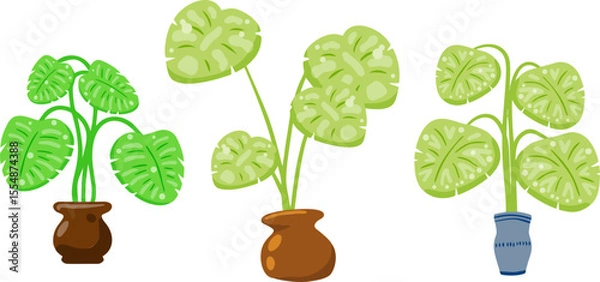 Obraz Green indoor plants in colorful pots. Flat cartoon vector illustration.