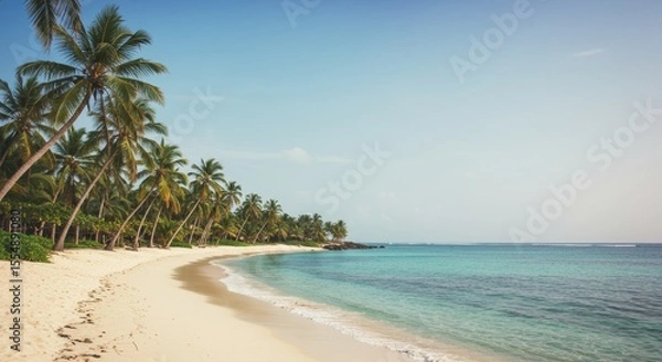 Obraz Palm Tree Lined Tropical Beach with Turquoise Water on Sunny Day