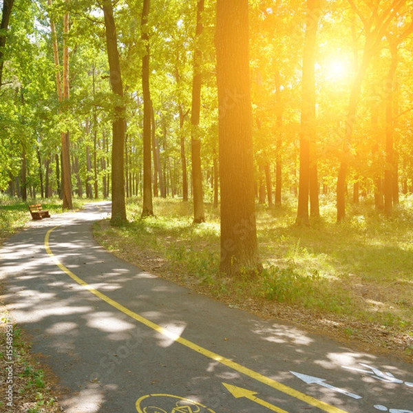 Fototapeta Sunrise in a beautiful park with bicycle and walking path.