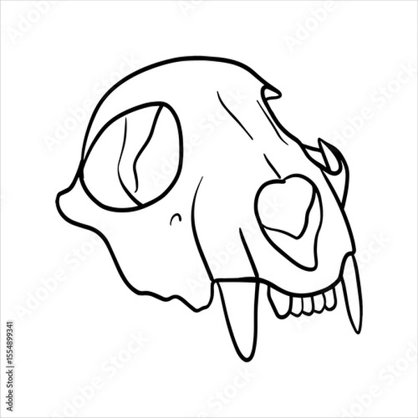 Obraz Animal skull with fangs. Hand drawn black and white vector illustration of a animal skull with sharp teethin line art style. Hand drawn skull sketch. Bones painted by black inks