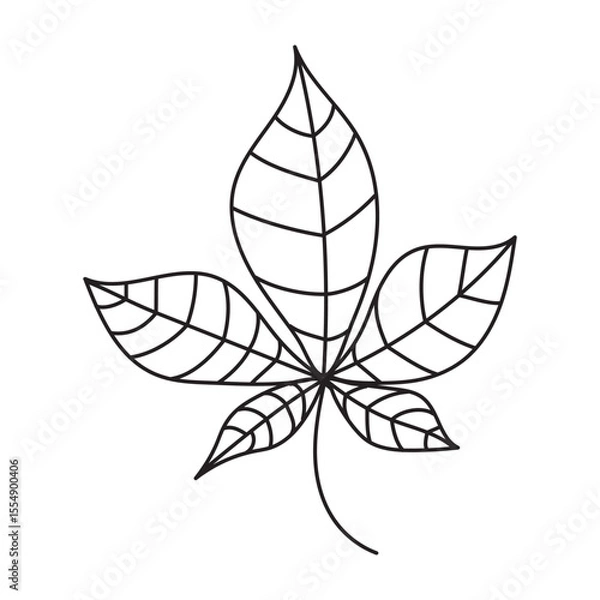 Fototapeta Doodle chestnut leaf on isolated white background.Vector outline plant element.