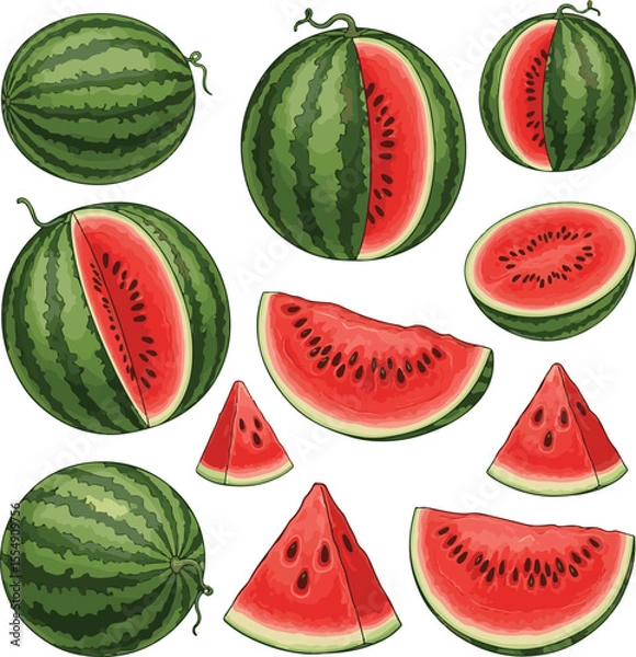 Fototapeta Watermelon vector illustration on white background, featuring whole and sliced watermelons, fresh summer fruit design, perfect for healthy food art, seasonal themes, and tropical fruit concepts.
