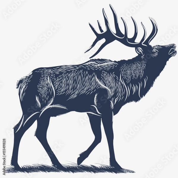 Obraz Олень Вапити на траве, в синем цвете, иллюстрация