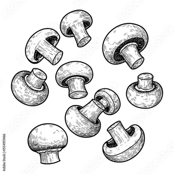 Fototapeta Multiple Button Mushrooms Falling or Floating in a Detailed Black and White Outline Line Art Drawing