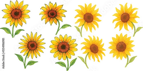 Fototapeta Hand-Drawn Watercolor Sunflower Illustration Set Colorful Single Bloom Floral Elements with Petals and Leaves, Isolated Transparent Background for Botanical Art, Packaging, and Decor | Generative AI