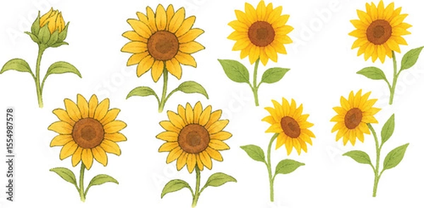 Fototapeta Hand-Drawn Watercolor Sunflower Illustration Set Colorful Single Bloom Floral Elements with Petals and Leaves, Isolated Transparent Background for Botanical Art, Packaging, and Decor | Generative AI