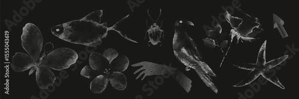 Fototapeta Grunge vintage collection of photocopy halftone elements in Y2K aesthetic.graphic tattoo.Gothic punk poster.Trendy elements with retro effect.