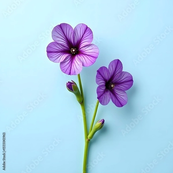 Fototapeta Realistic Purple Flower on Blue Background  AI Generated Floral image