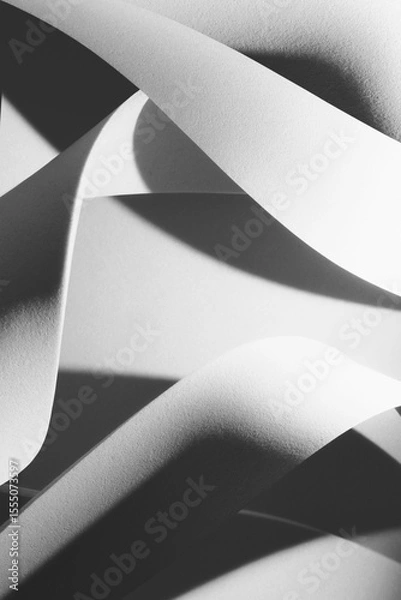 Fototapeta Curvilinear shapes in black and white, abstract background