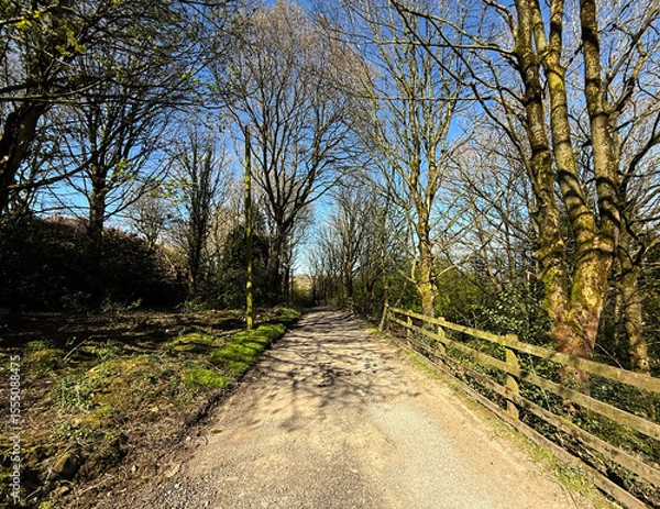 Fototapeta A sunlit path meanders through a forest with tall, leafless trees on either side, casting intricate shadows on the ground. A wooden fence runs parallel to the path near, Clayton, Bradford, UK