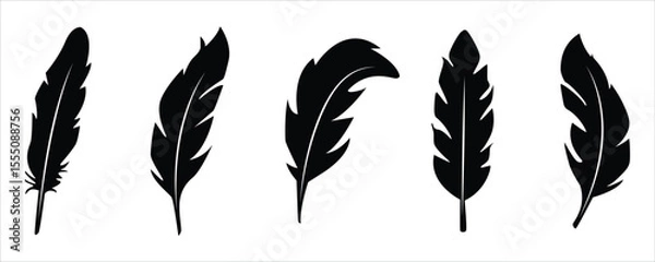 Obraz Feather Silhouette Vector Collection – Black Ornamental Feathers on White Background