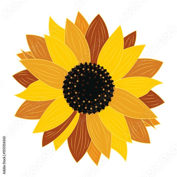 Fototapeta Sunflower close-up on white background isolated. Vector
