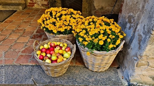 Fototapeta Yellow chrysanthemums in large baskets and ripe tasty apples on stone floor of village barn