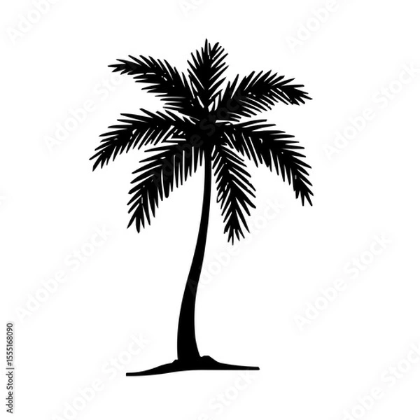 Fototapeta Refined Artistic Palm Tree Symbol as Line Vector Graphic with Solid Black Contours on Stark White Backdrop