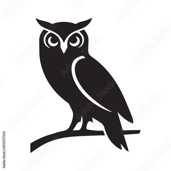 Fototapeta vector illustration of a owl