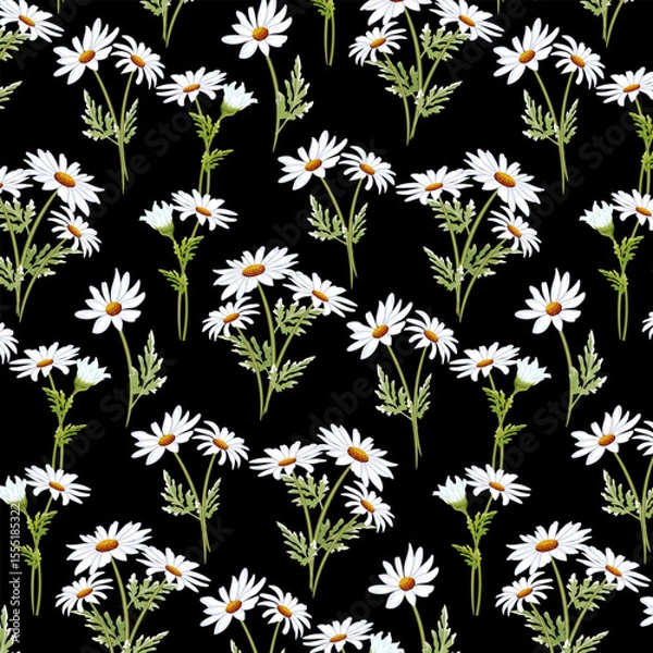 Obraz Pattern with white daisies.Vector seamless pattern with white daisies on a black background.