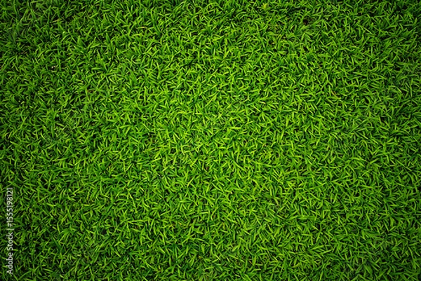 Fototapeta Vibrant Green Grass Texture: Lush, Spring-like, Natural Background Image