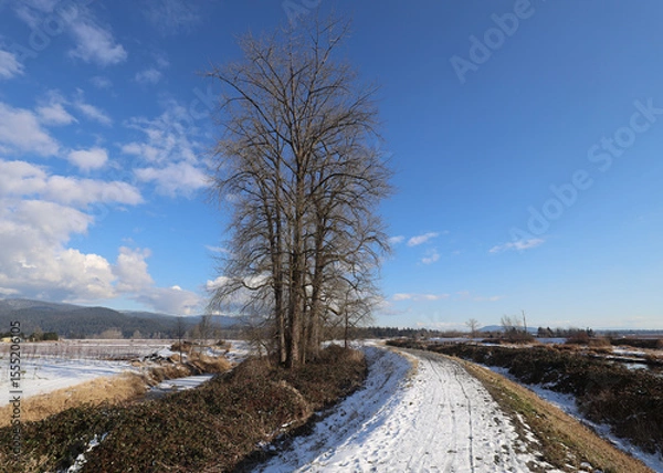 Obraz Snow road melting in the spring sunrays