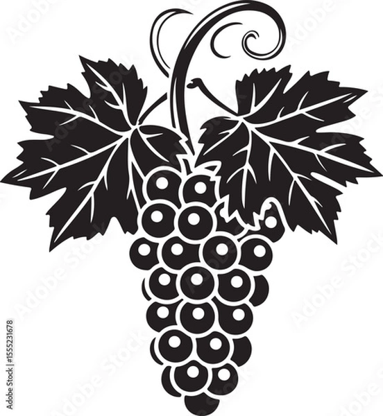 Fototapeta Black silhouette of grapes with leaves vector illustration