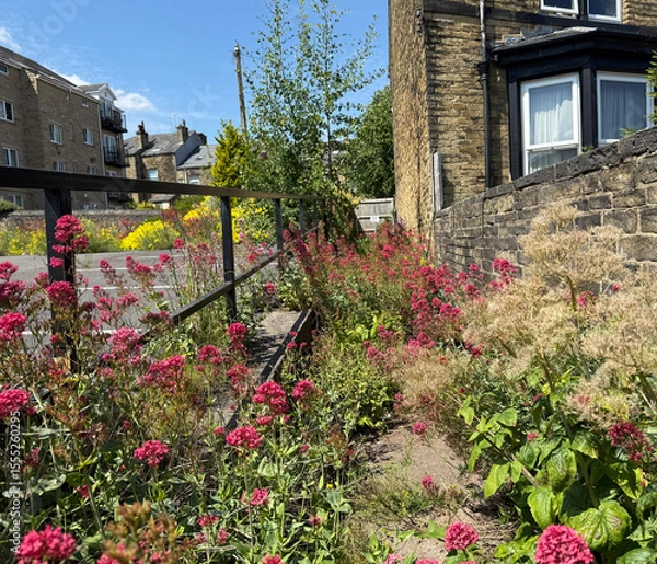 Fototapeta "Pink and yellow wildflowers border a path by Victorian stone houses with a black metal railing adding urban contrast in Shipley, Yorkshire, UK,"