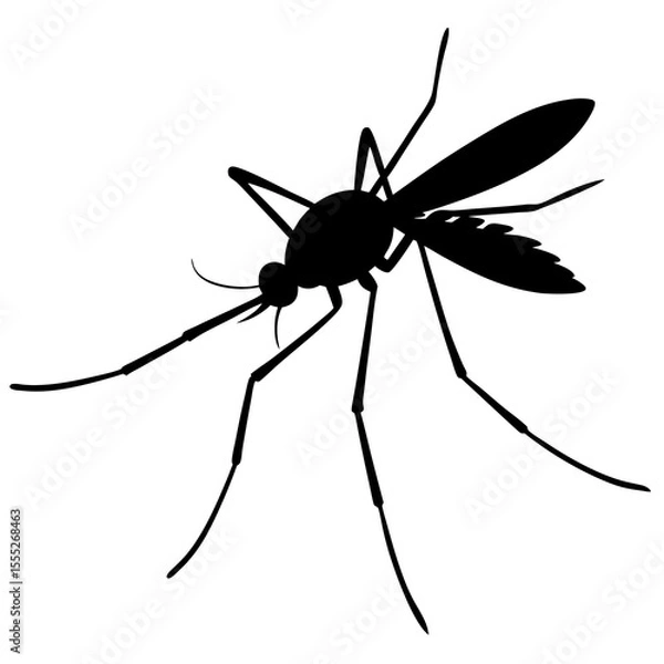 Obraz vector mosquito