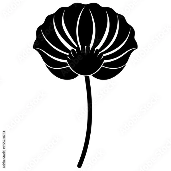 Obraz vector poppy flower