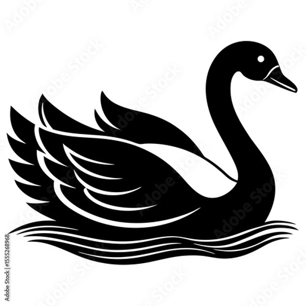 Obraz black swan vector illustration