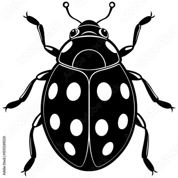 Obraz vector illustration of a ladybug