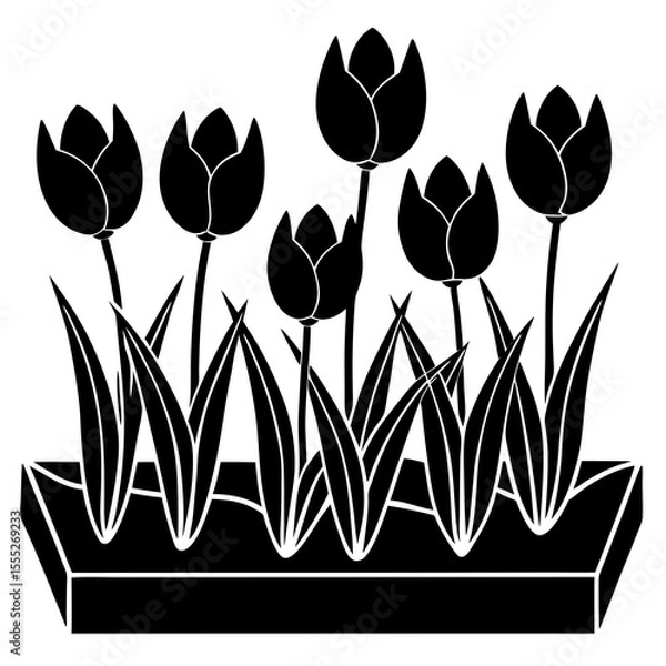 Obraz tulip flowers vector illustration