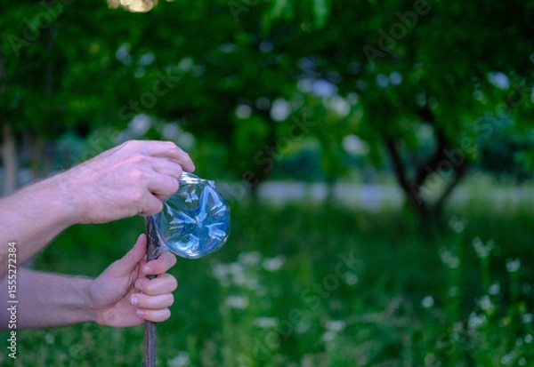 Fototapeta Close-up of a person securing the bottom of a plastic bottle to a wooden stick using tape, with green trees and grass in the background.