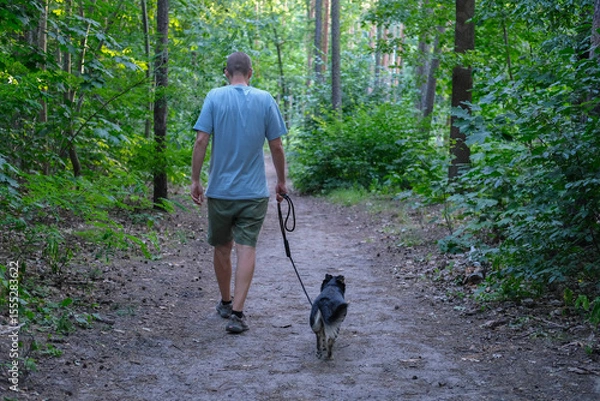 Fototapeta Man walks a small dog on a leash along a forest path surrounded by dense green trees on a summer day.