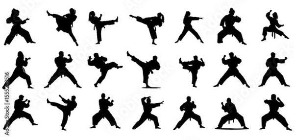 Fototapeta Karate silhouettes in various fighting poses without background  