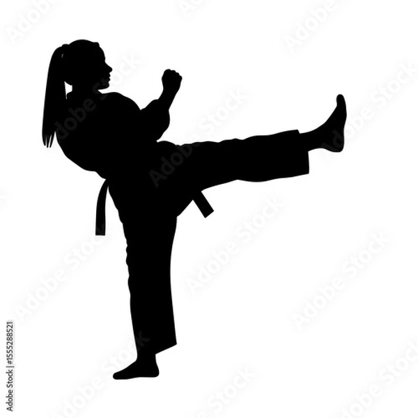 Obraz Silhouette of a woman practicing karate kick without background  