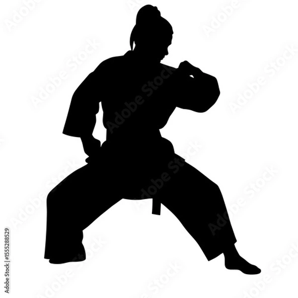 Obraz Karateka silhouette in fighting stance on white background  