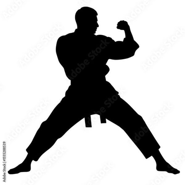 Obraz Karate silhouette of a man striking a pose without background  