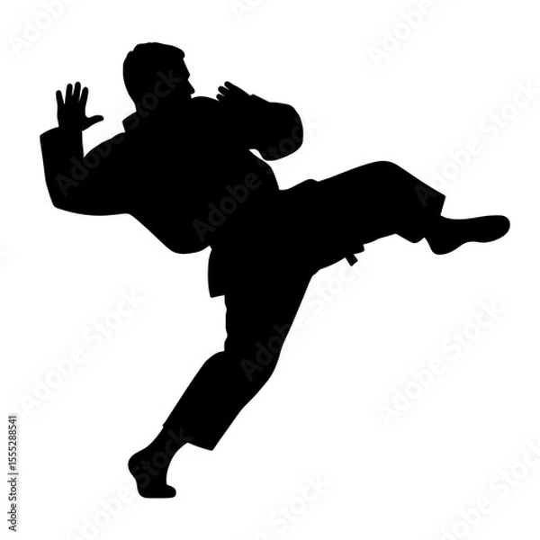 Obraz Silhouette of martial artist performing a kick without background  