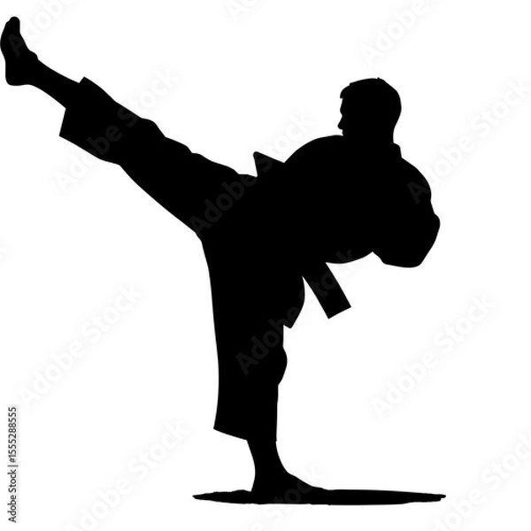 Obraz Karate athlete performing a high kick in silhouette without background  