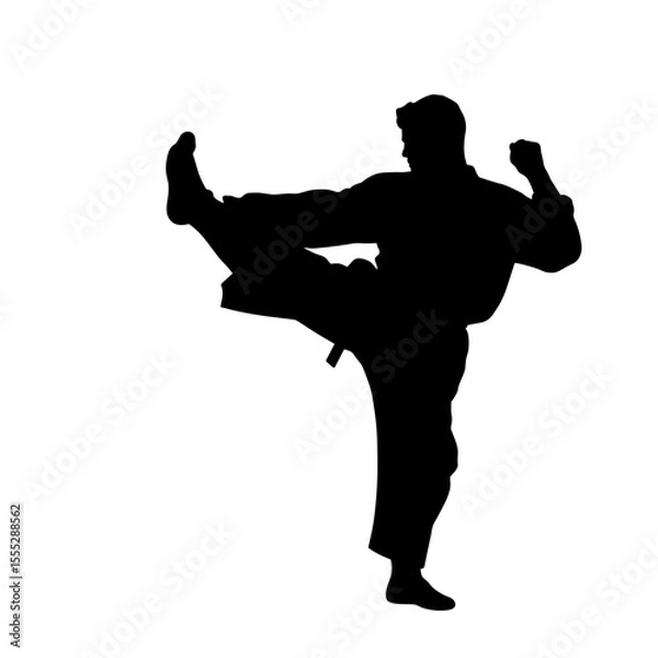 Obraz Male martial artist performing a high kick in silhouette without background  