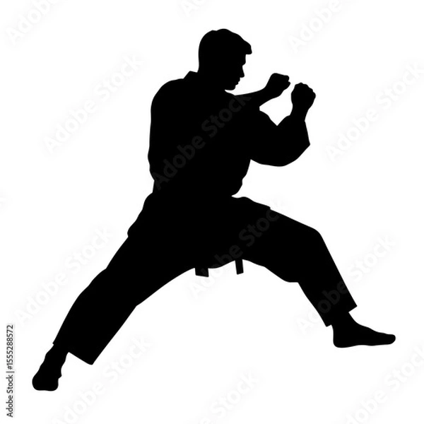 Obraz Karate man silhouette in fighting stance without background  