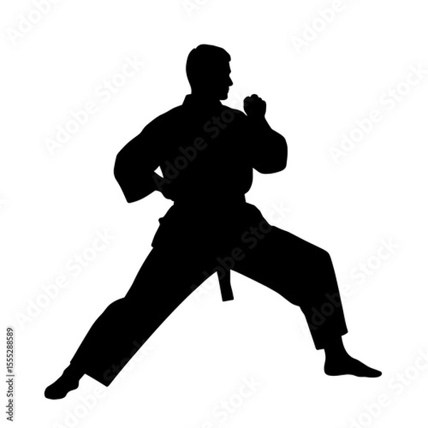 Obraz Karate athlete in action silhouette without background  