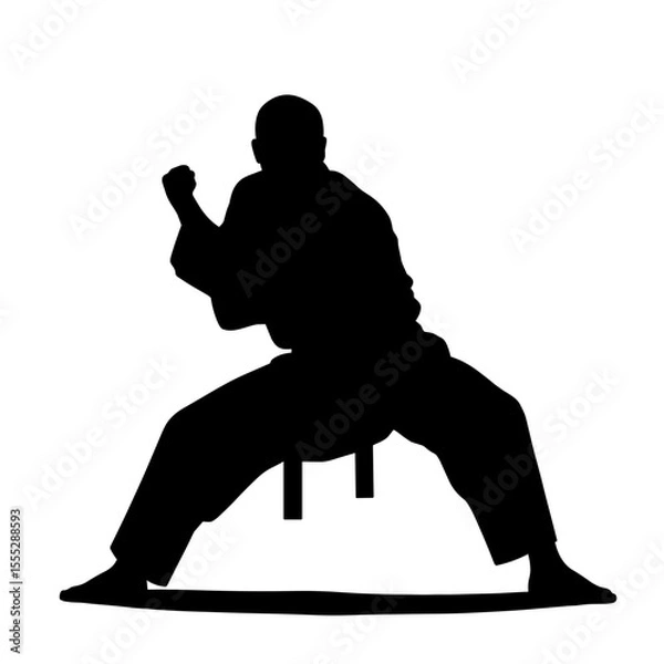 Obraz Karate practitioner in silhouette striking a pose without background  