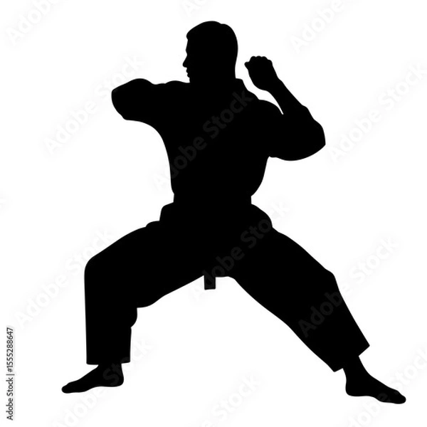 Obraz Silhouette of a martial artist in a fighting stance without background  
