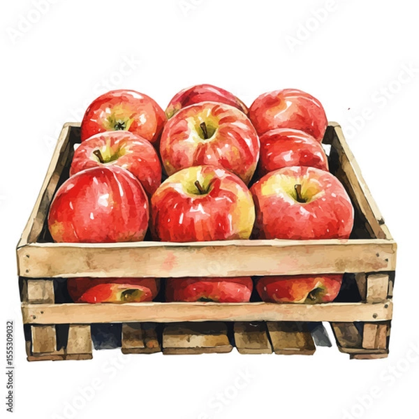 Fototapeta Row Apples Farm Stand, watercolor clipart vector, isolated on a white background.