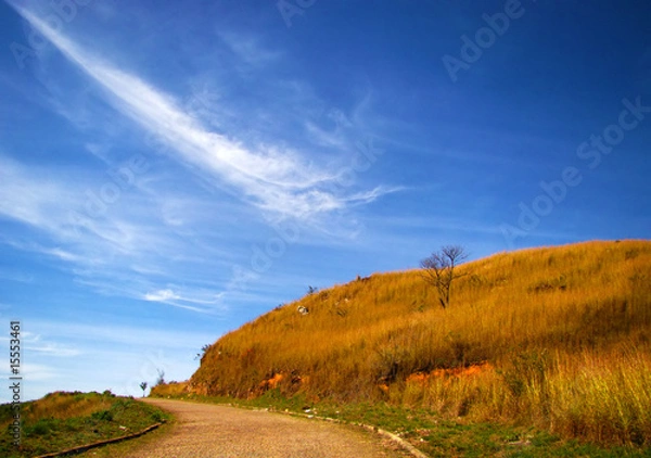 Obraz countryside road