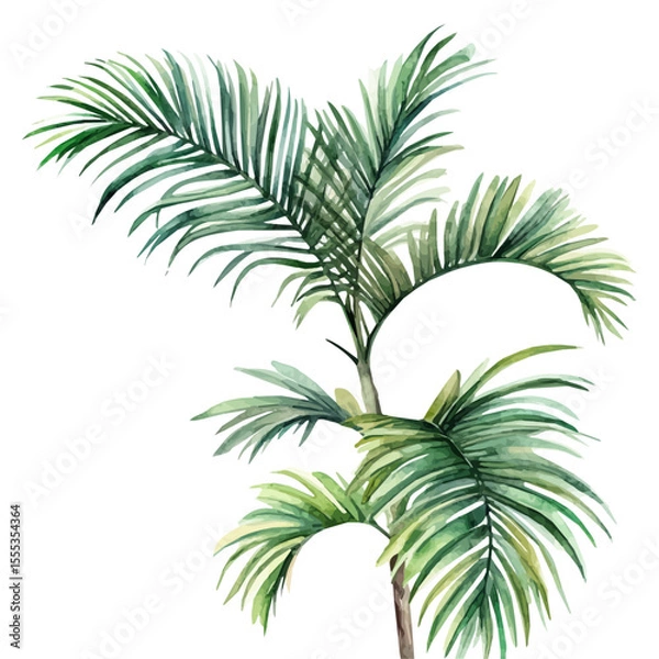 Fototapeta watercolor of Palm Leaves Swaying Breeze, vector, isolated on a white background.